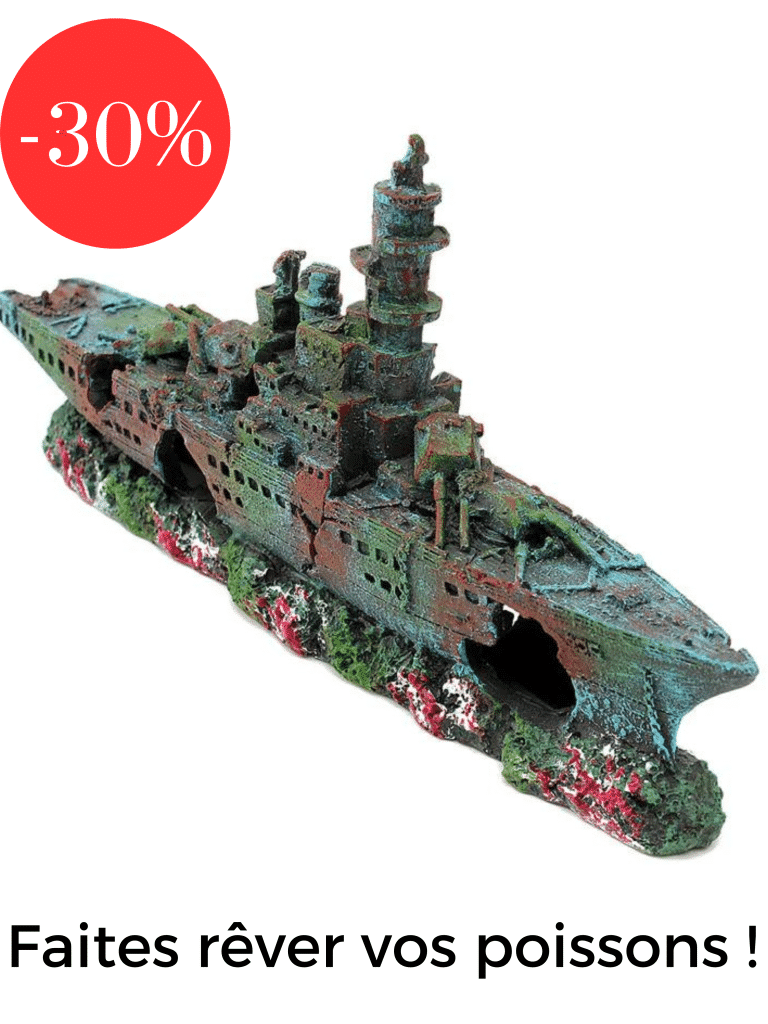 Image promo deco aquarium