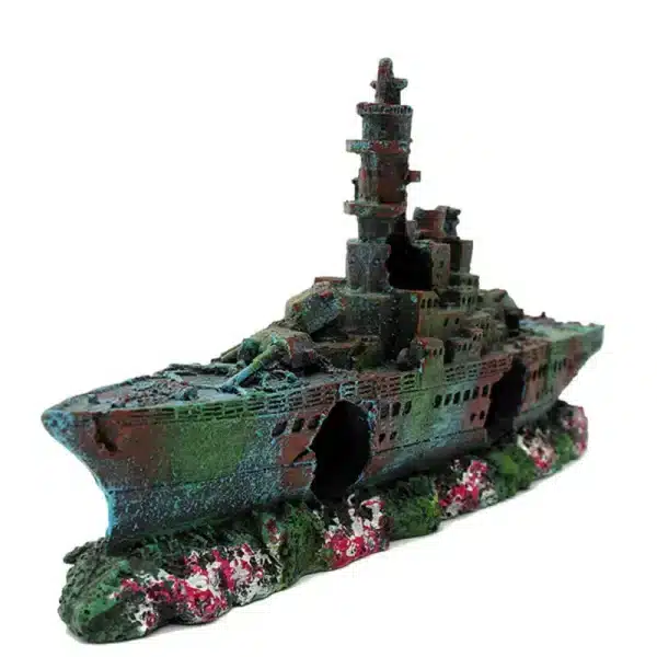 Bateau coulé aquarium