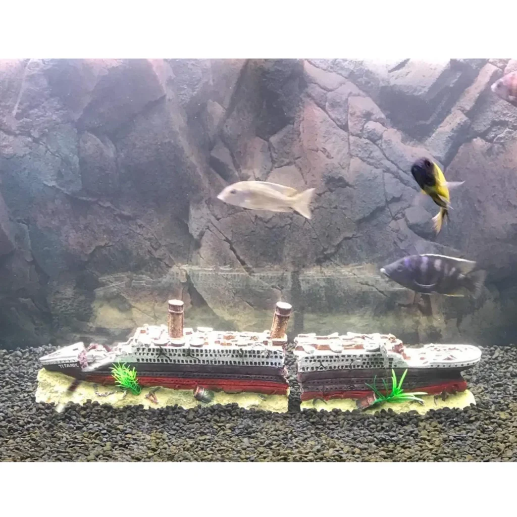 navire aquarium pour poisson
