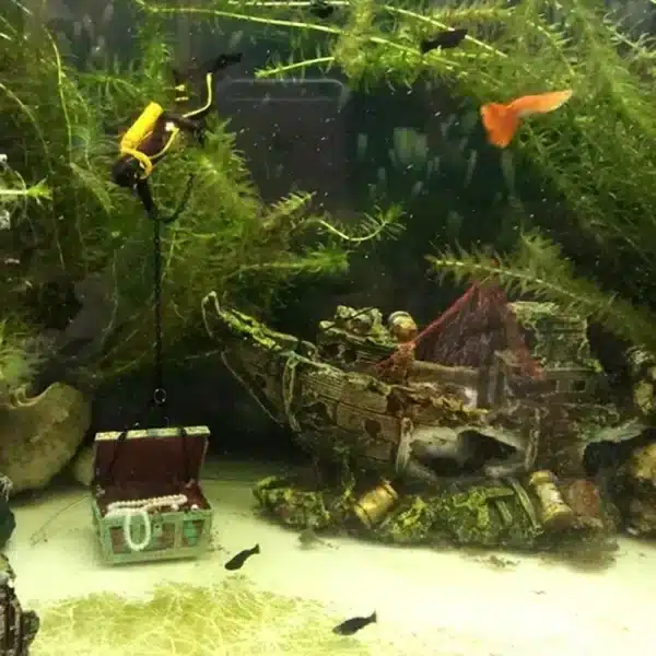 Bateau ornement aquarium