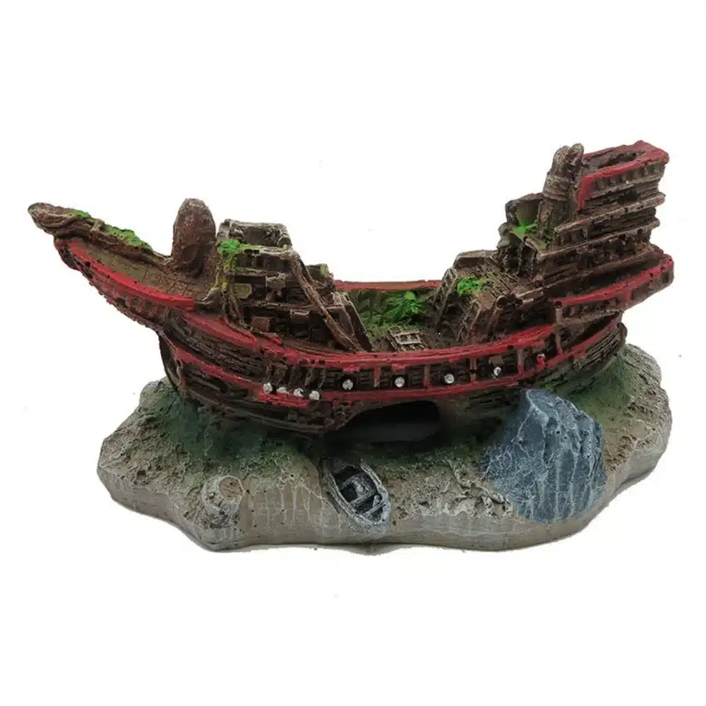 navire aquarium pour poisson