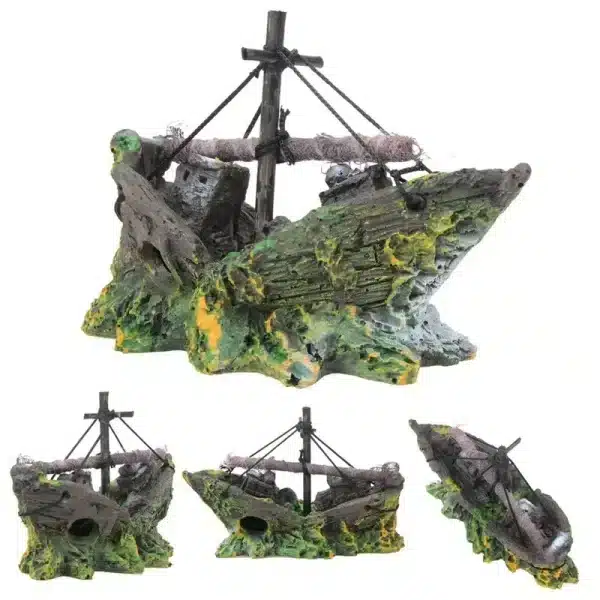 Bateau aquarium pour poisson