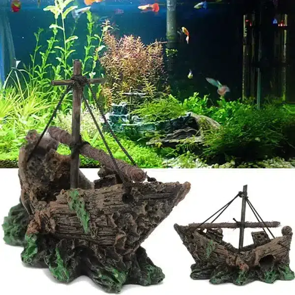 Bateau aquarium pour poisson