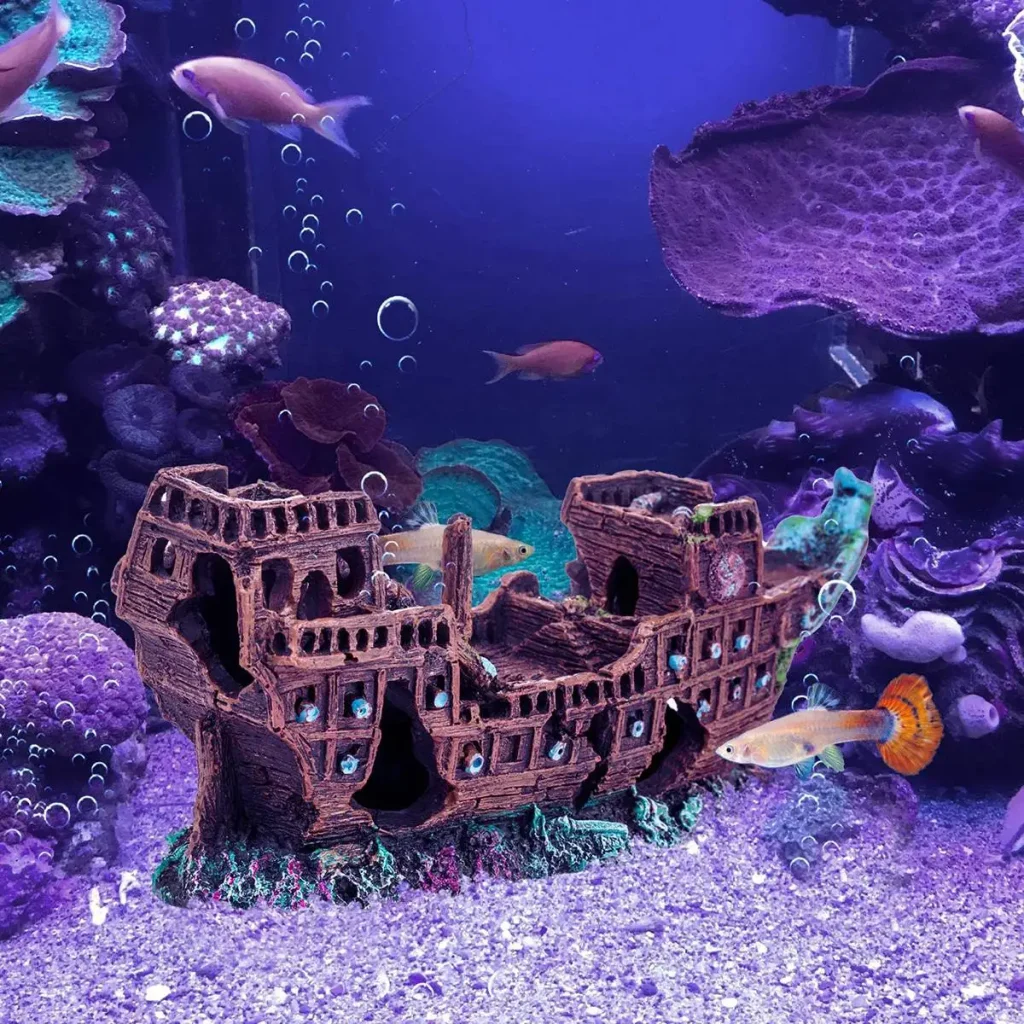 navire aquarium pour poisson