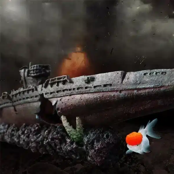 Bateau aquarium pour poisson