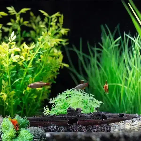 Epave décoration aquarium