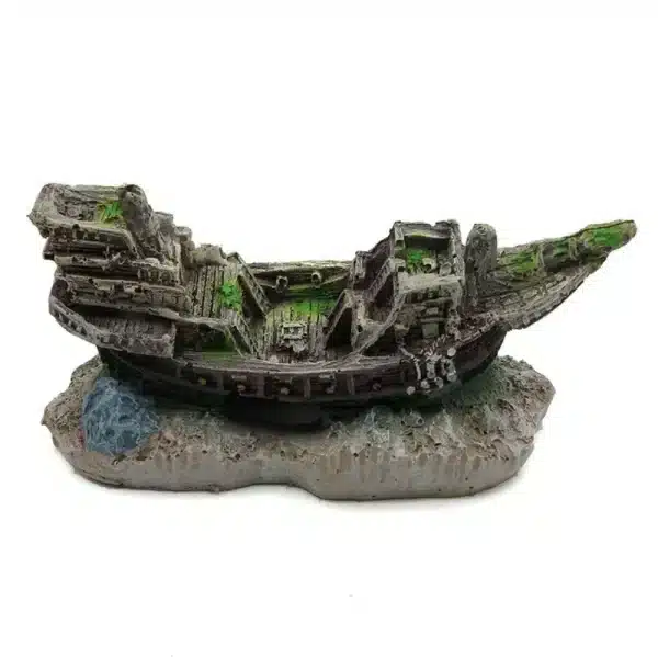 Bateau aquarium pour poisson
