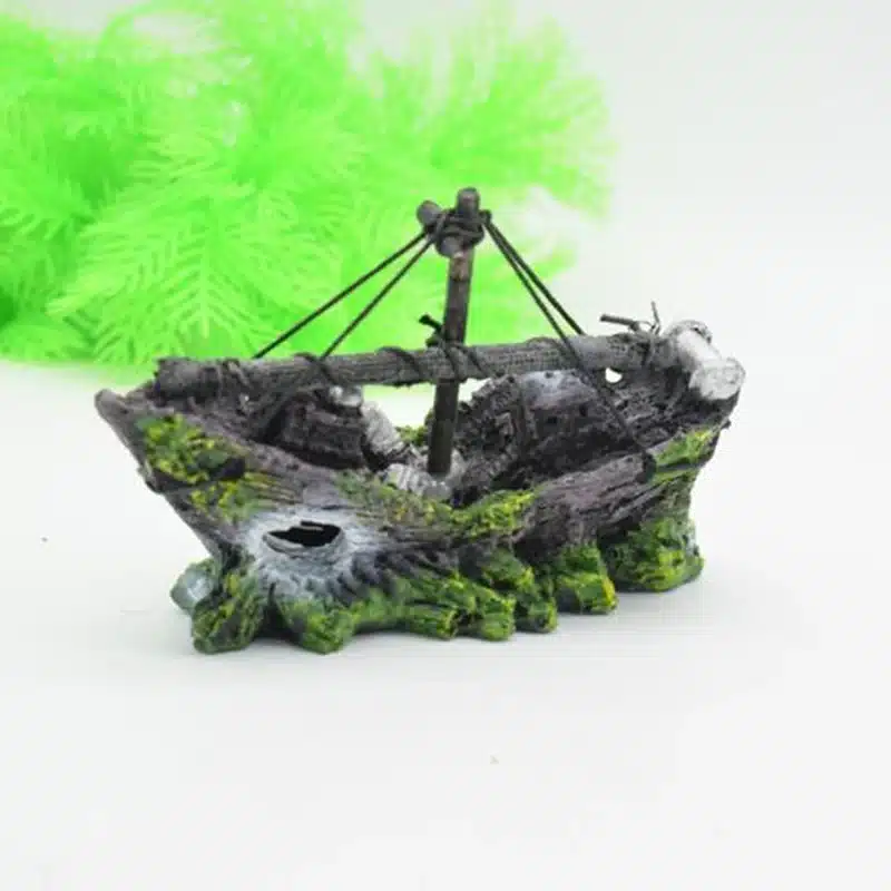 navire aquarium pour poisson