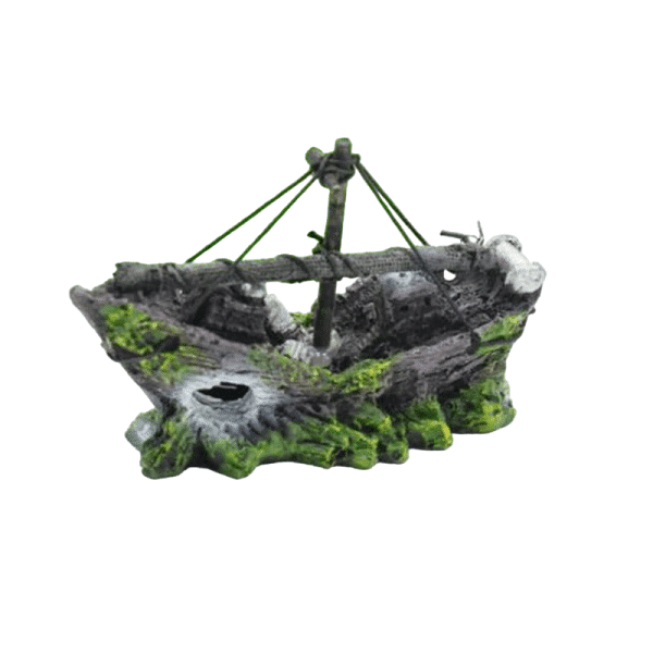 ornement bateau aquatique