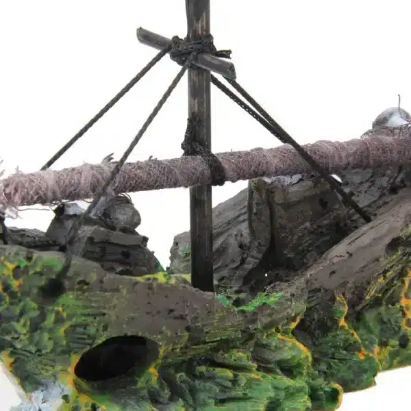 Bateau coulé aquarium