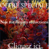 Promo décoration aquarium