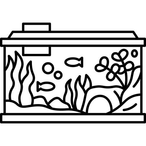 décorations aquarium durable