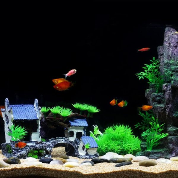 décor aquarium asiatique