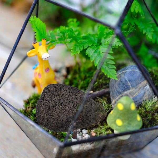 décor aquarium pierre