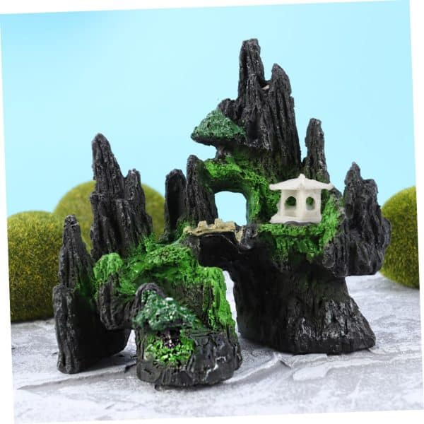 déco aquarium naturel