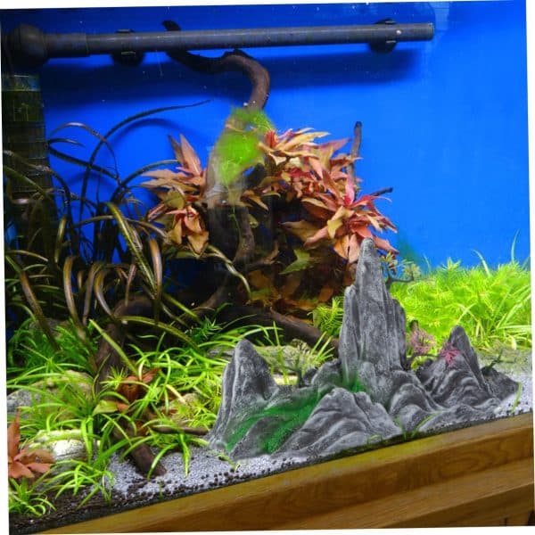 décoration zen pour aquarium