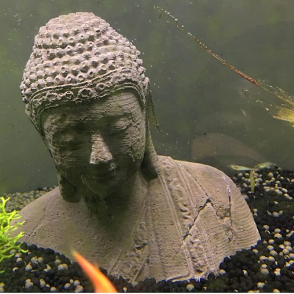 déco aquarium bouddha