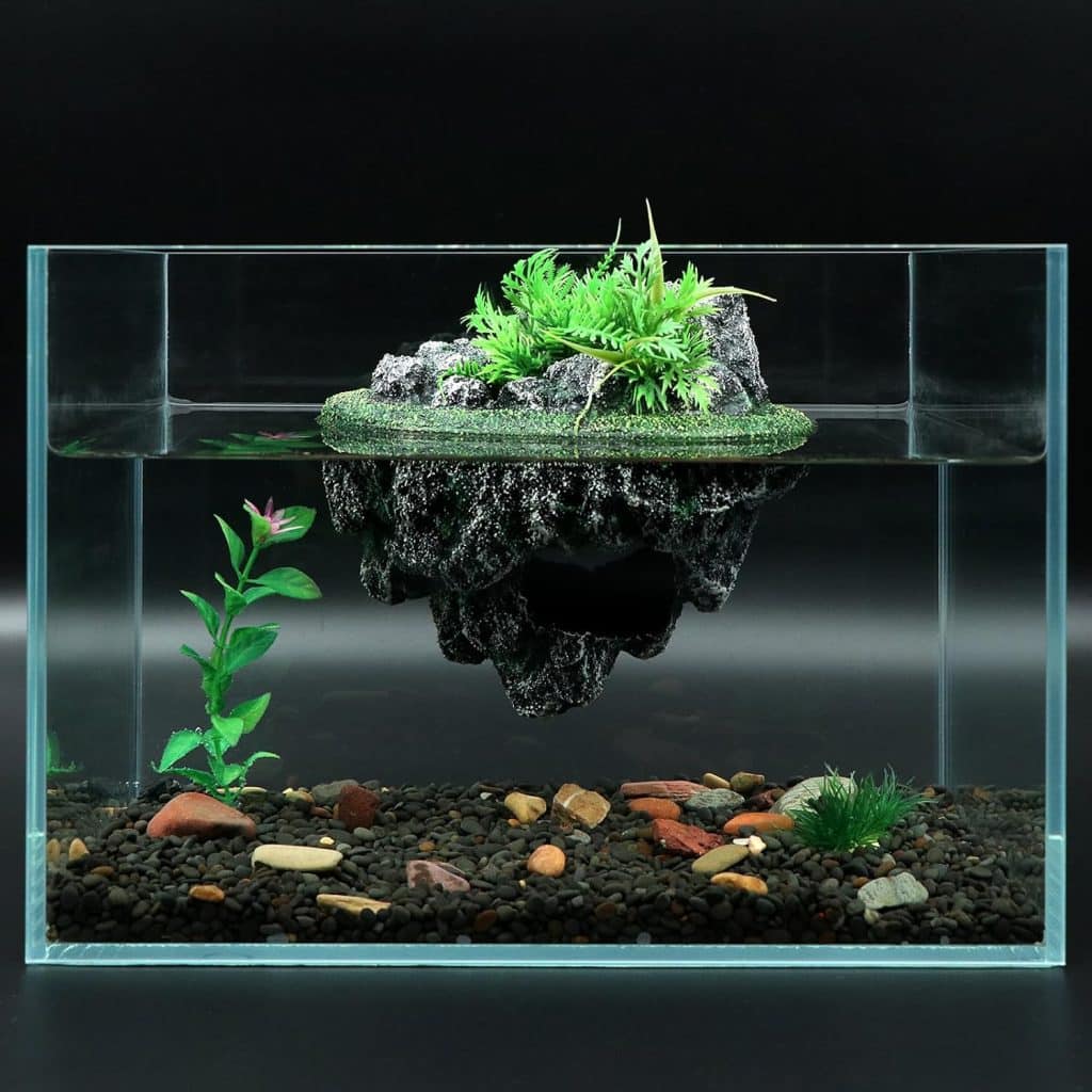 aquarium zen