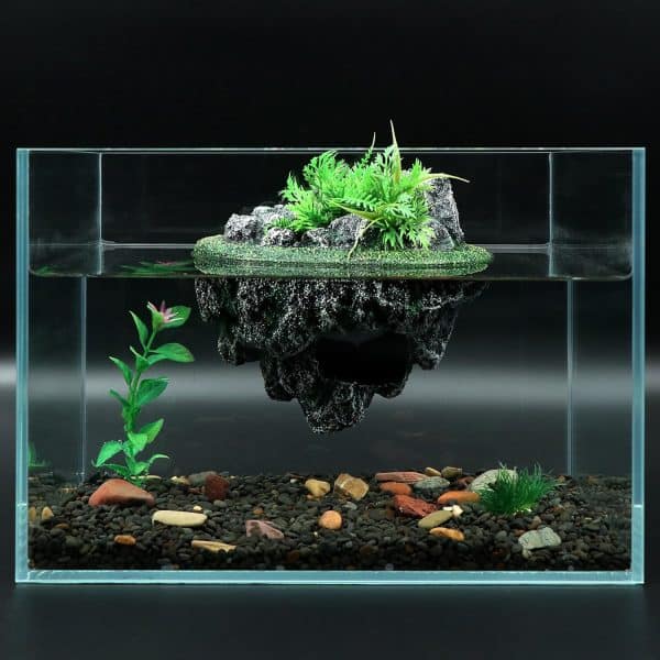 décoration zen pour aquarium