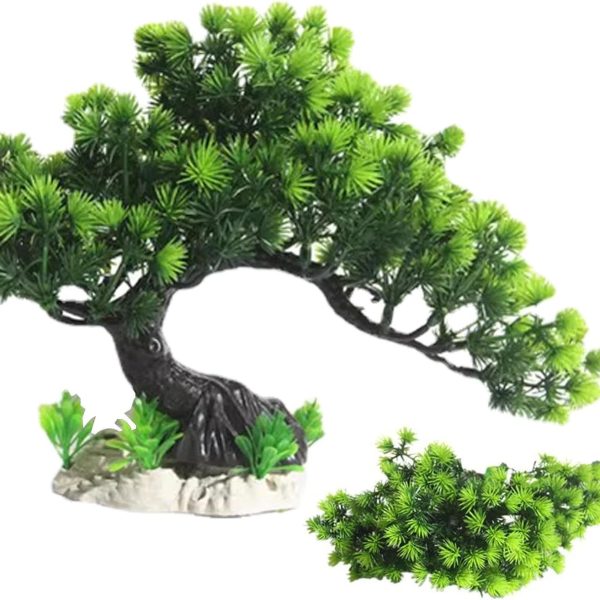 décor aquarium naturel