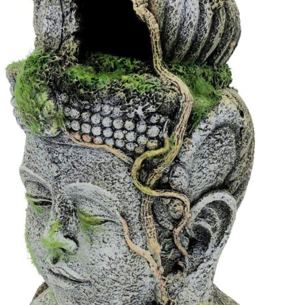 décoration zen pour aquarium