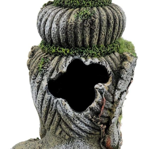 idee deco aquarium zen