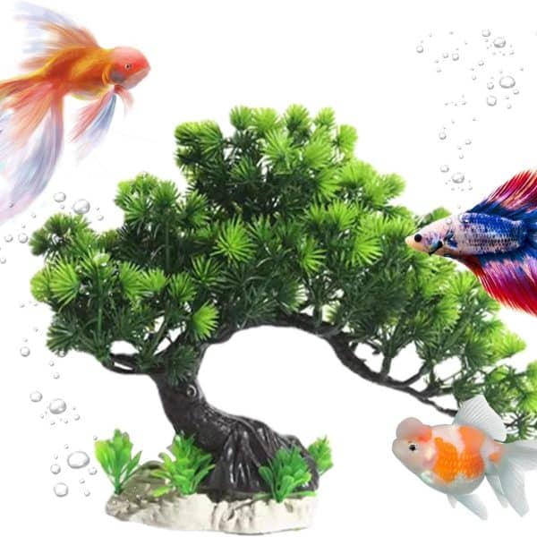 aquarium zen attitude