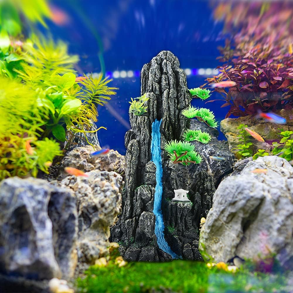 decors aquarium