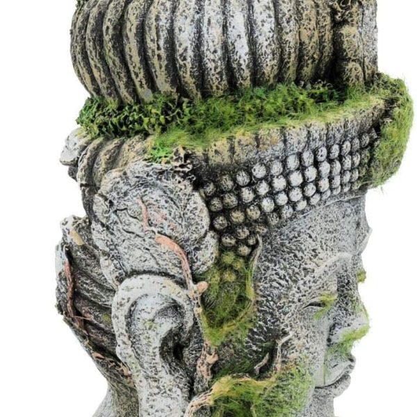 decoration aquarium zen