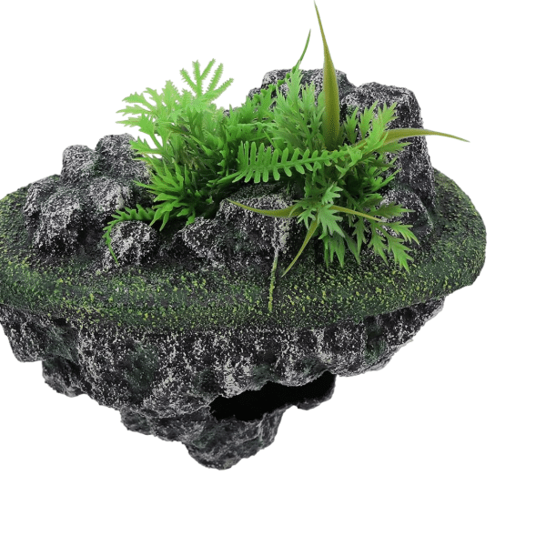 décor aquarium naturel