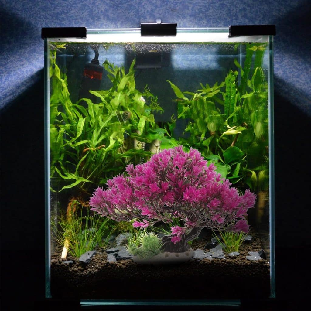 decors aquarium
