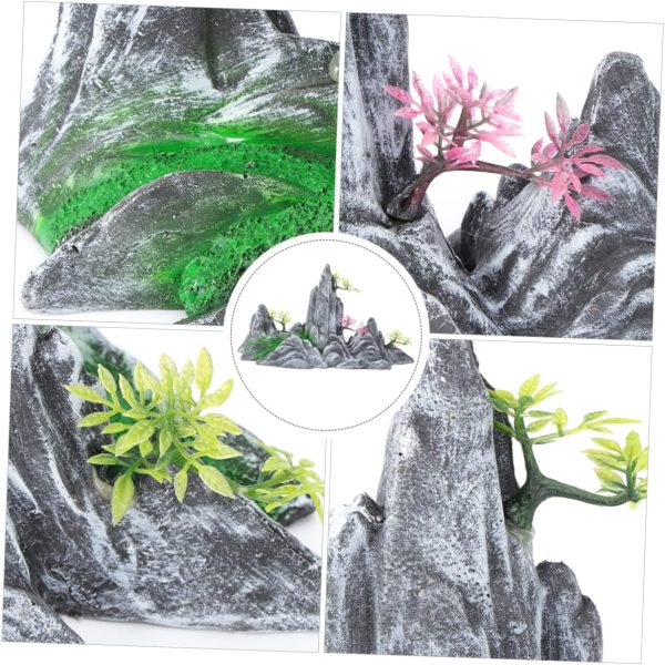 déco aquarium naturel