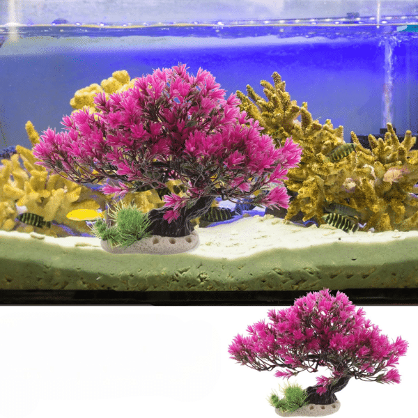 decoration aquarium zen