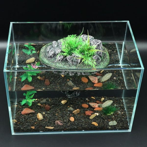 aquarium zen attitude