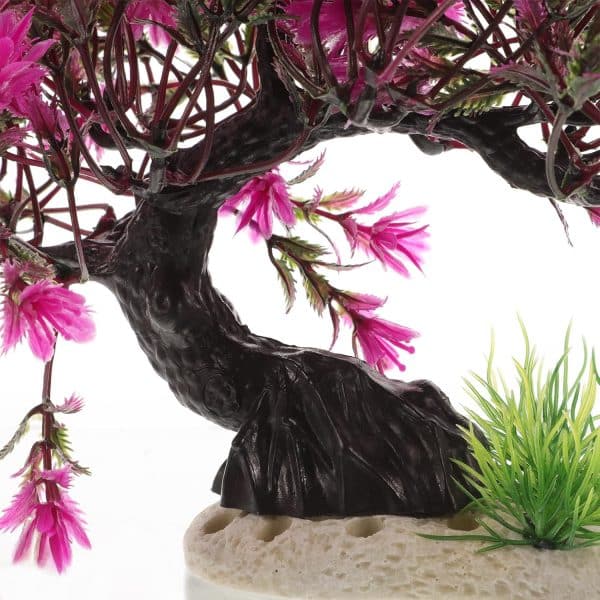décor aquarium naturel