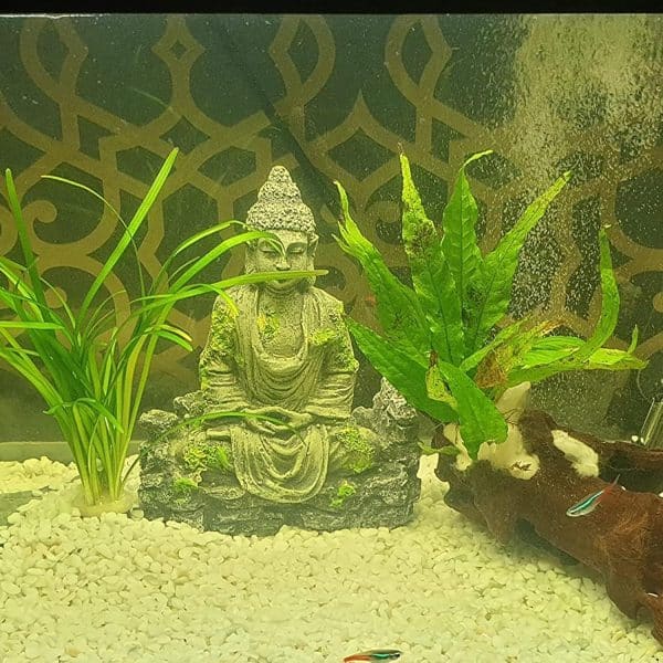 decoration aquarium bouddha