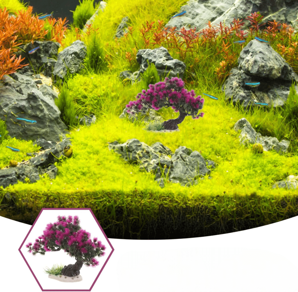 decoration aquarium