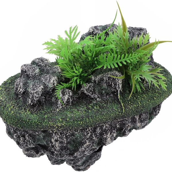 idee deco aquarium zen