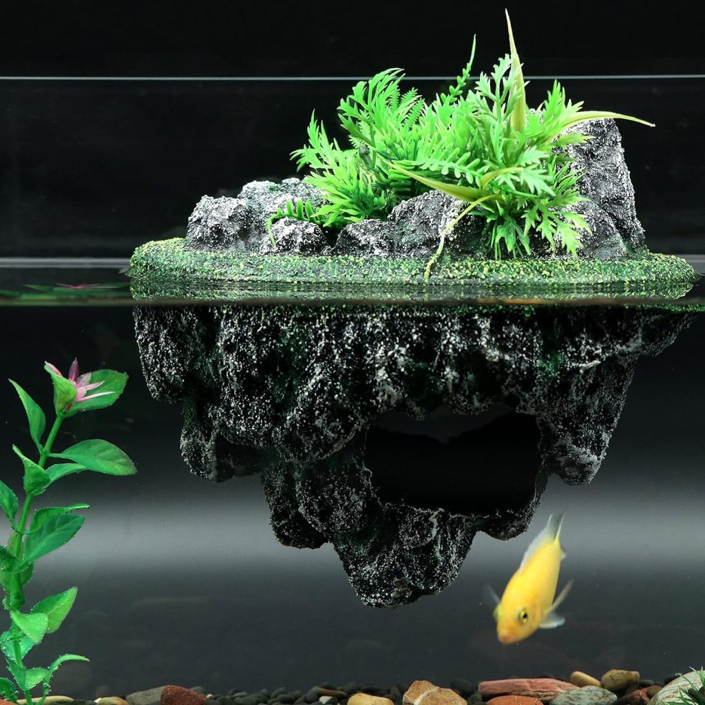 decors aquarium
