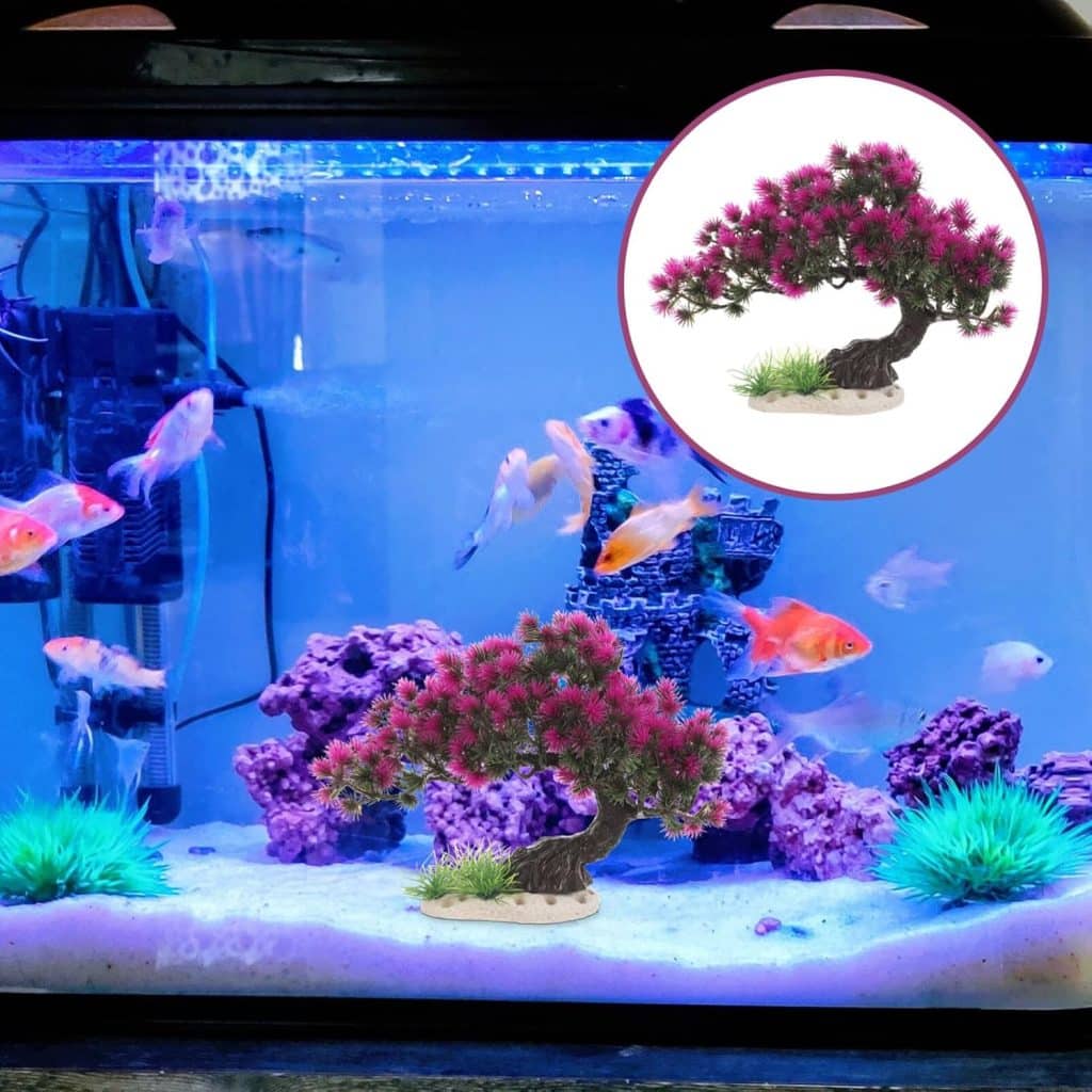 aquarium à la japonaise