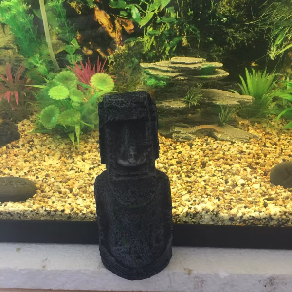 décor aquarium naturel