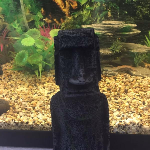 aquarium zen