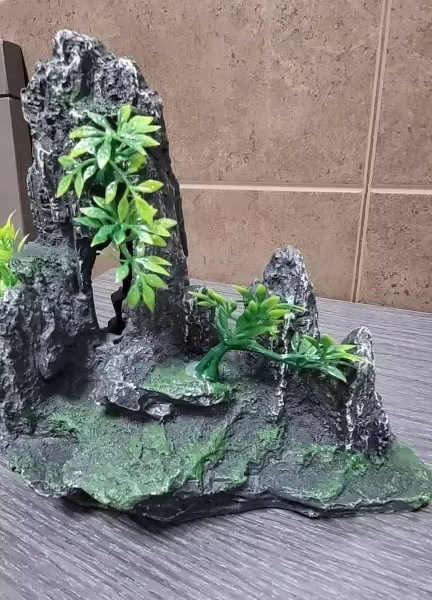 décoration zen pour aquarium