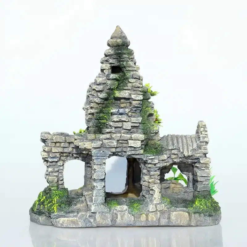 décor aquarium naturel