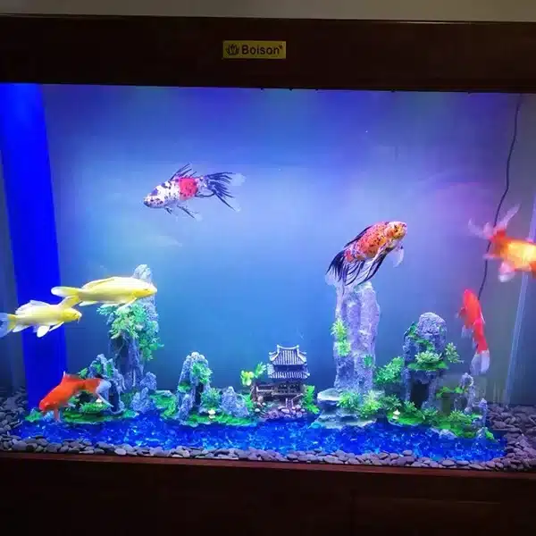 décoration aquarium japonaise