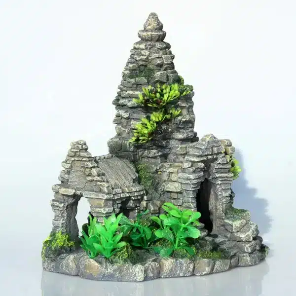 déco aquarium naturel