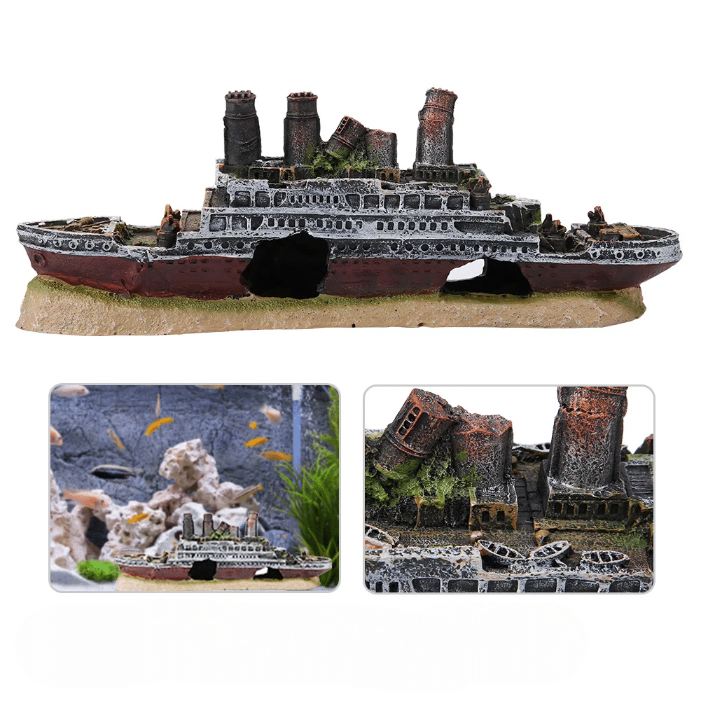 navire aquarium pour poisson