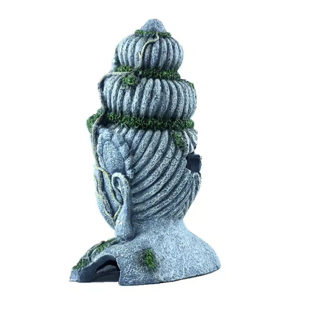 decor aquarium zen