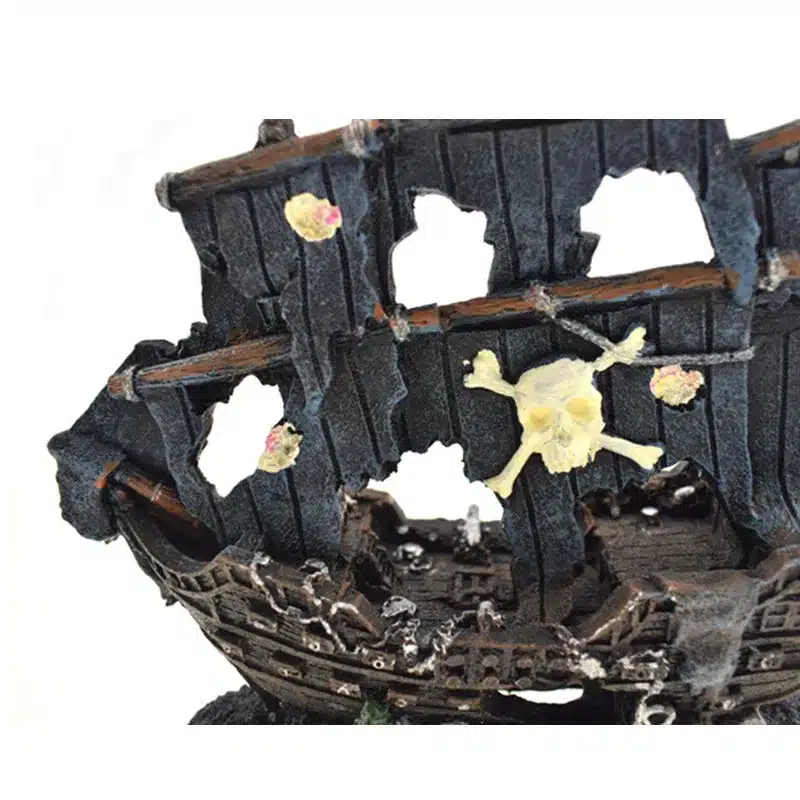 décoration aquarium