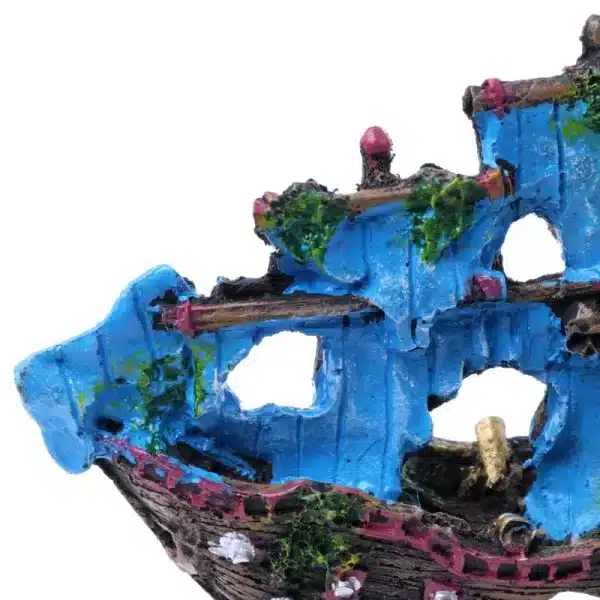 Bateau coulé aquarium